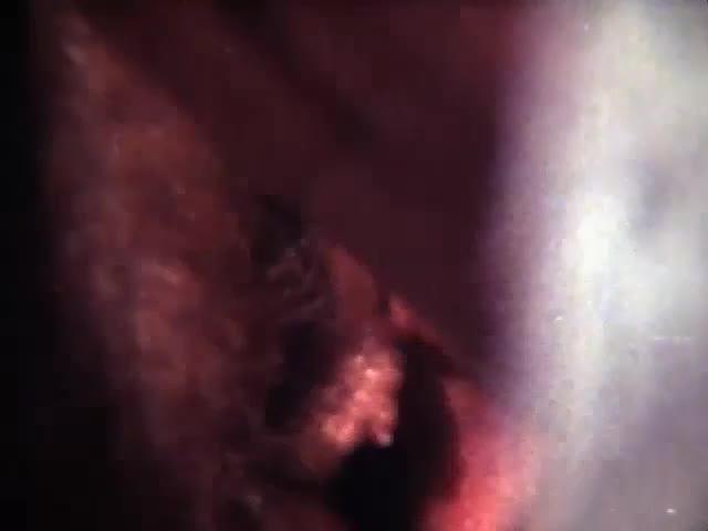 Cover Girl 28 – Cups of Cum