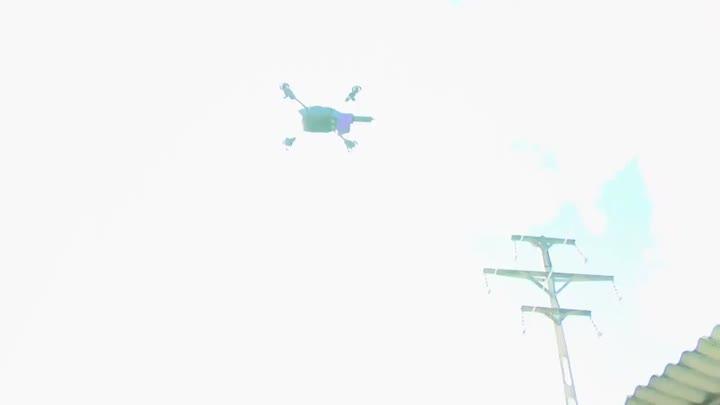 Horny Babes And Wet Pussies