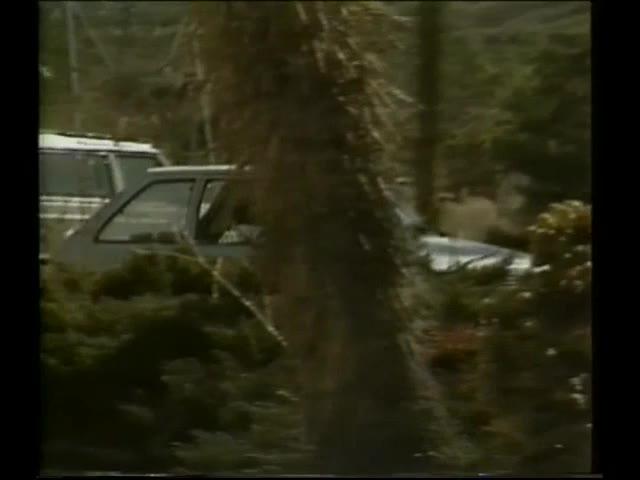 Rachel Ashley Triple Feature