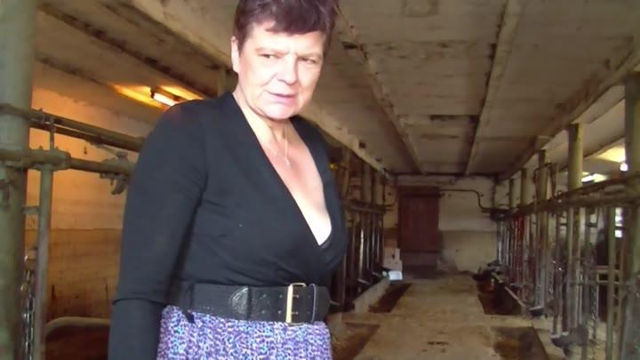 Sauerei im Schweinestall 4