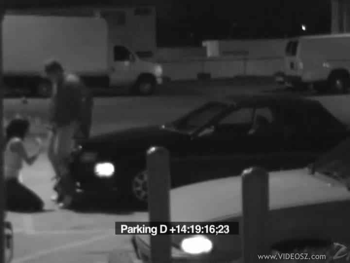 Security Cam Chronicles 5