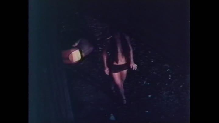 Tarz & Jane & Boy & Cheeta